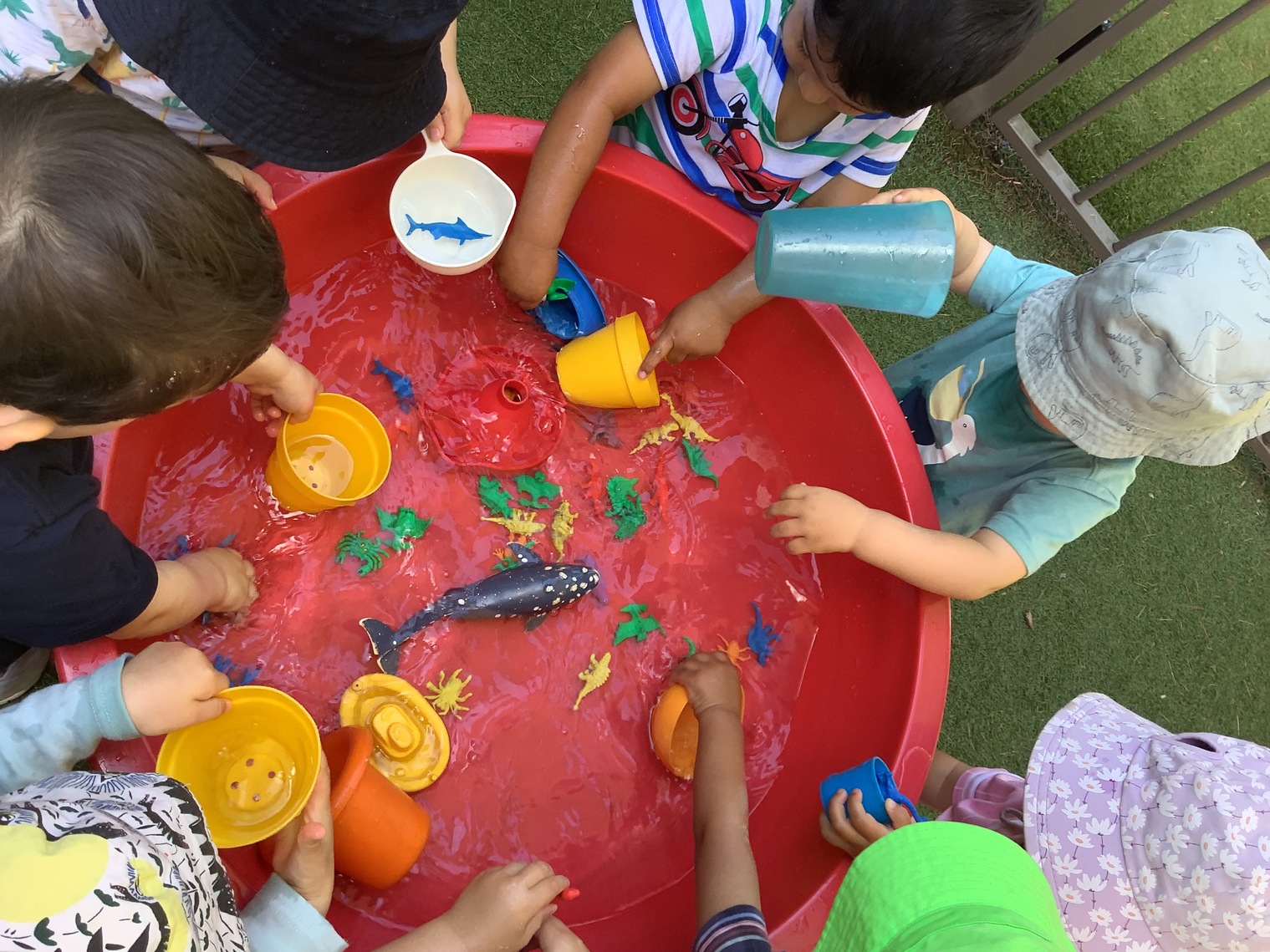 Childcare - Toddler 2 Room 12