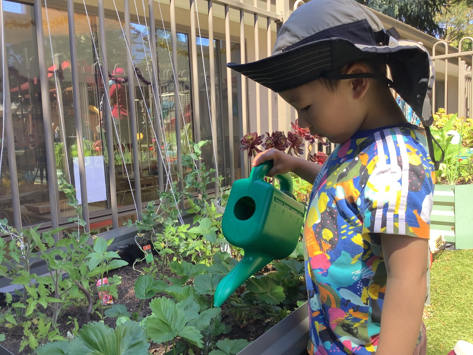 Childcare and Kindergarten - Kinder 4 Room 16